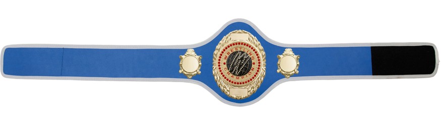 WRESTLING BELT-PRO286/G/WRESTGEMG-10+ COLOURS